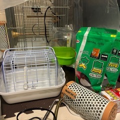 文鳥初めてセットの画像