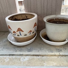 家庭菜園や観葉植物用プランターの画像