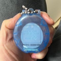 正規品✨たまごっちケース✨キーホルダータイプ✨の画像