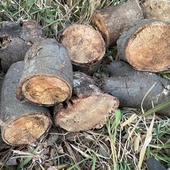 薪のアウトレットです！先着の画像