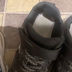 靴　ニーモ　瞬足の画像