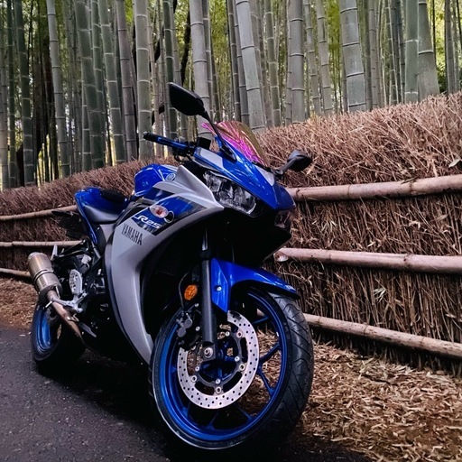 Yamaha YZF-R25　低距離　自走可　カスタム多数
