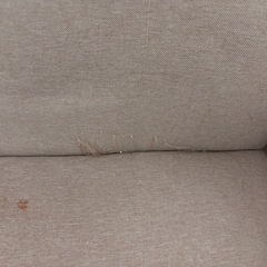 2人がけコンパクトソファー ベージュカラーの画像