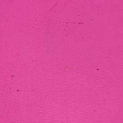 ピラティスマットの画像