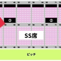 2/15(土)14:00　柏レイソル vs 東京ヴェルディ SSチケット1枚の画像