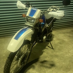 DG08セローの画像