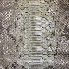 美品 パイソン本革ショルダーバッグ 大容量 A4可の画像