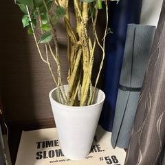 フェイクグリーン(観葉植物風)の画像