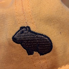 サンディエゴズー キャップの画像