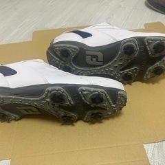 ゴルフシューズ・スパイクの画像