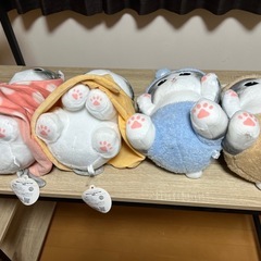 mofusandにゃんぱんつ！BIGぬいぐるみの画像