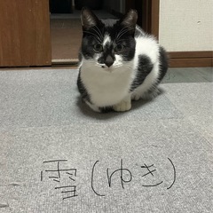 拡大してみてください！！凄く美人さんなんです♡