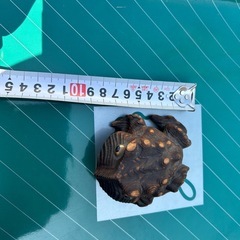 木彫りのカエルの置物ですの画像