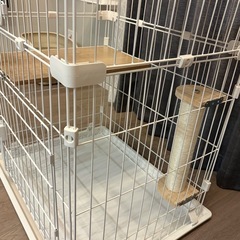 キャットケージの画像