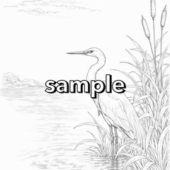 【やさしい大人の塗り絵】日本の鳥と四季を彩る塗り絵の画像