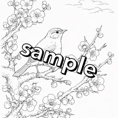 【やさしい大人の塗り絵】日本の鳥と四季を彩る塗り絵の画像