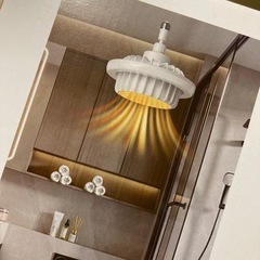 ꒰未使用꒱1台2役 小型 照明&暖房 天井ヒーター&ライトの画像