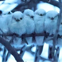 勉強好きな人と友達になりたい！