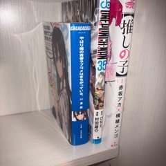 コミック本棚　前後2列の画像