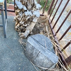 【無料】丸太、薪にどうぞ
の画像