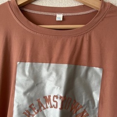 Tシャツ ブラウン XLサイズの画像