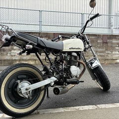 即決！値引相談可！　エイプ100の画像