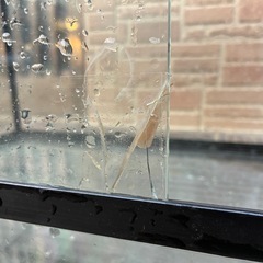 ビバリア　爬虫類ケージ60cm（ひび有り）の画像