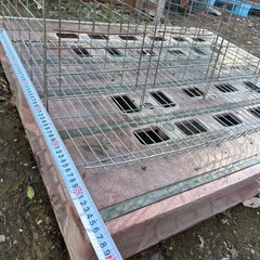 鶏小屋 金網の画像