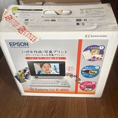 【ジャンク品】エプロン　カラリオミーの画像