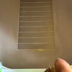 決まりました‼️猫トイレ　デオトイレセットの画像