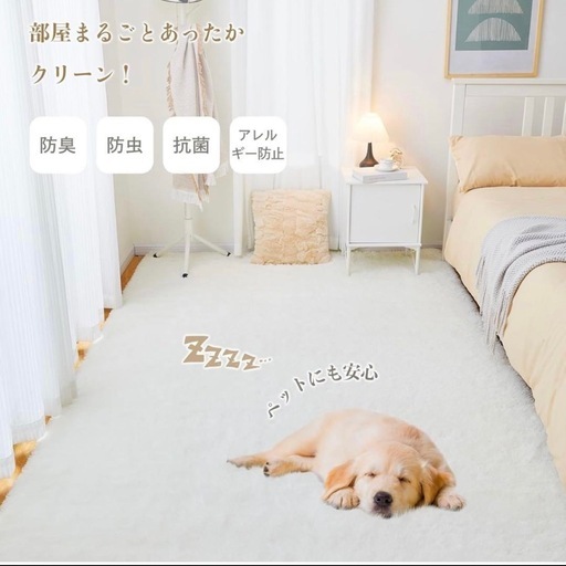 新品 カーペット ラグマット 200×160CM 滑り止め付き ふわふわ 防音
