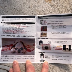 お譲り先
決定しましたの画像