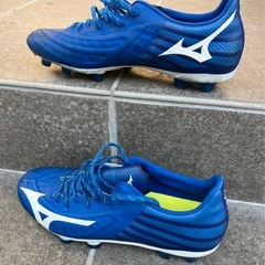 レビュラ3  プロ　25.0cmの画像