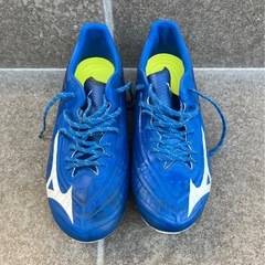 レビュラ3  プロ　25.0cmの画像