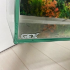 GEX 水槽　60cmの画像
