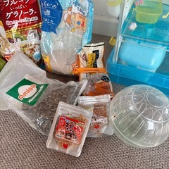 ハムスター飼育セットの画像