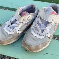 NIKE17センチの画像