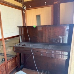 ピアノ　アップライトピアノ　無料　配達オッケーの画像