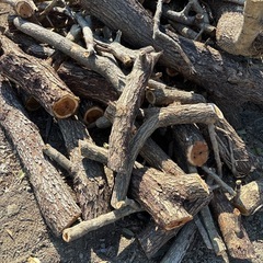 2／14 本日限定　薪　広葉樹の画像