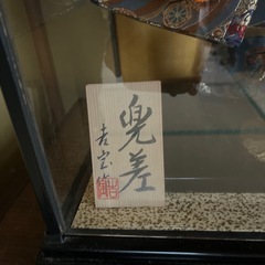 五月人形
の画像