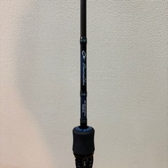 エメラルダスMX イカメタル　ベイトモデルの画像