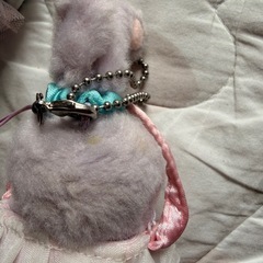 ステラルーの画像