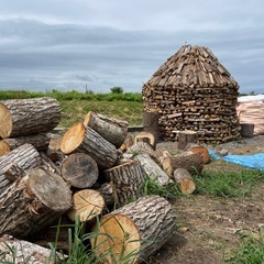 ナラ　来シーズン用に割る為今月末で販売終了の画像