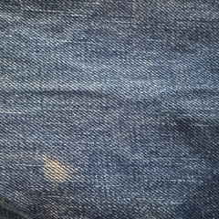 evisu  デニムの画像