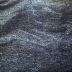 evisu  デニムの画像