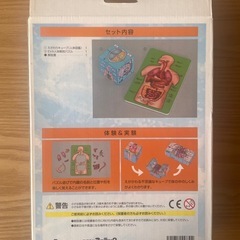 人体キューブ&パズルセットの画像