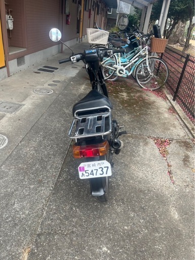 最終値下げバーディー　50