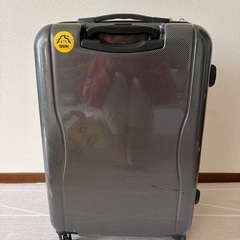 【ジャンク品】キャリーケースの画像