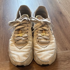 NIKE スニーカー　２５センチの画像