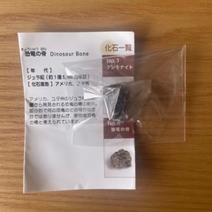 海洋堂　クラウン　1955の画像